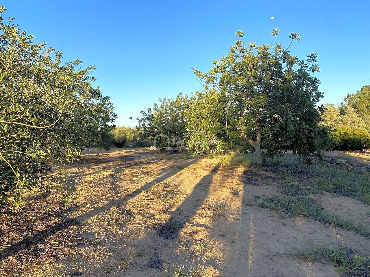 Undeveloped Land for sale in El Perello - € 29,000 (Ref: 7486549)