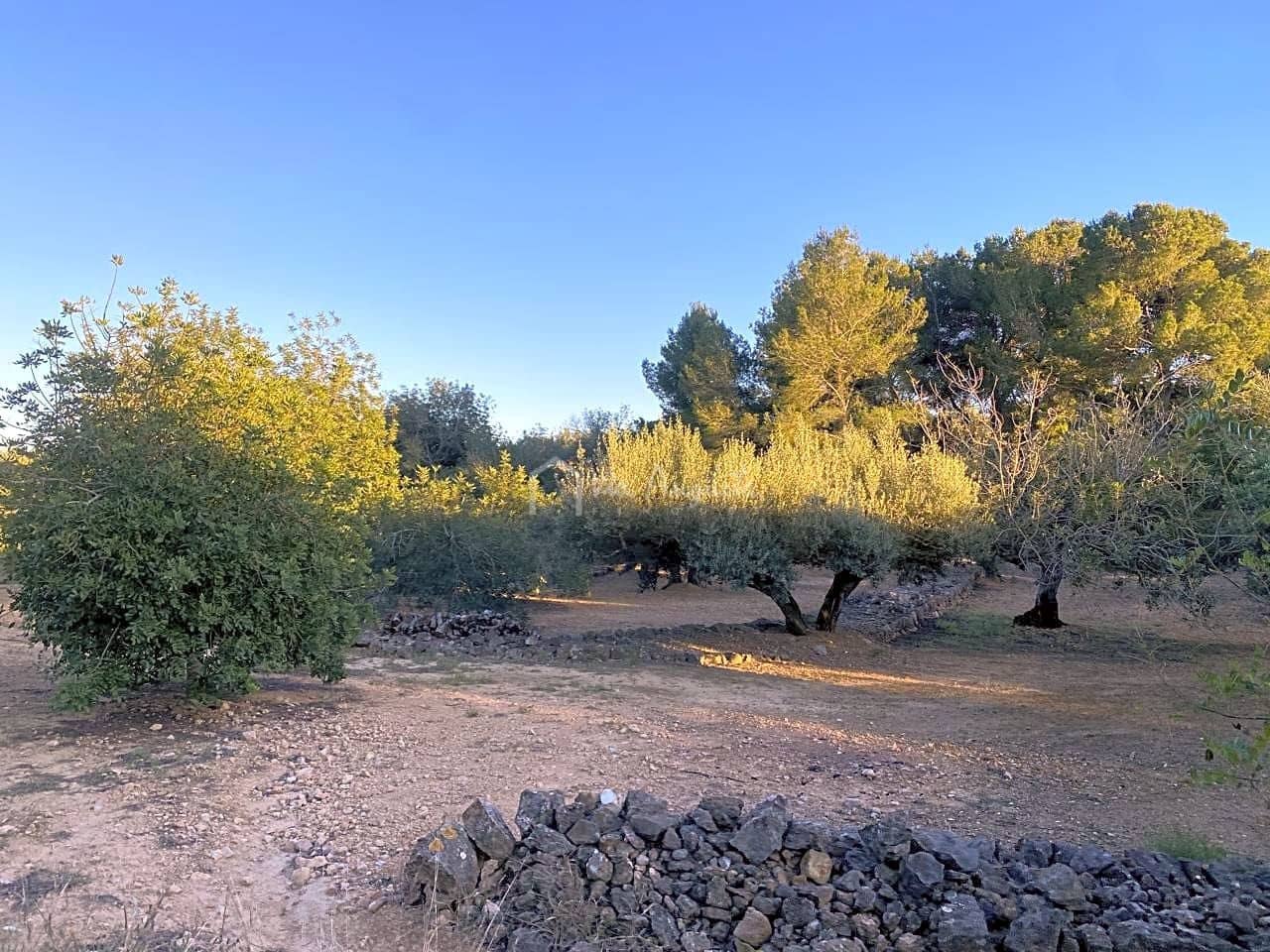 Undeveloped Land for sale in El Perello - € 29,000 (Ref: 7486549)