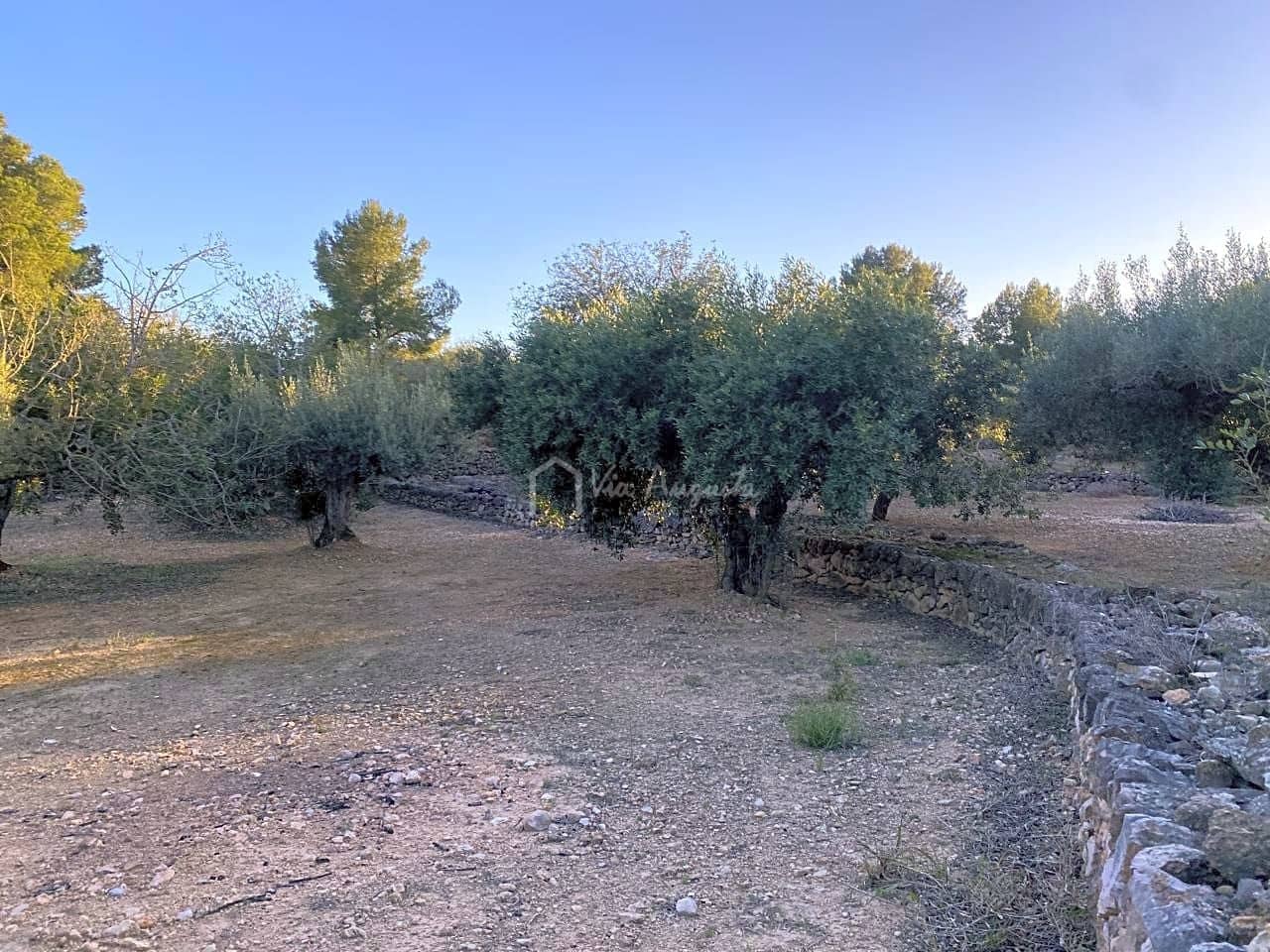 Undeveloped Land for sale in El Perello - € 29,000 (Ref: 7486549)