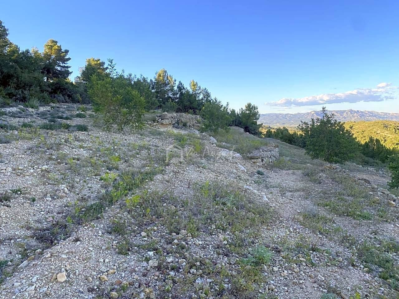 Grunde uden byggetilladelser til salg i El Perello - € 55.000 (Ref: 7486550)