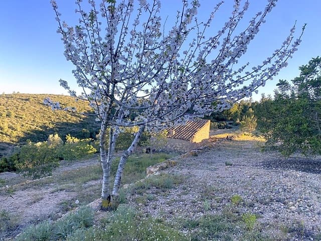 Grunde uden byggetilladelser til salg i El Perelló - € 55.000 (Ref: 7486550)