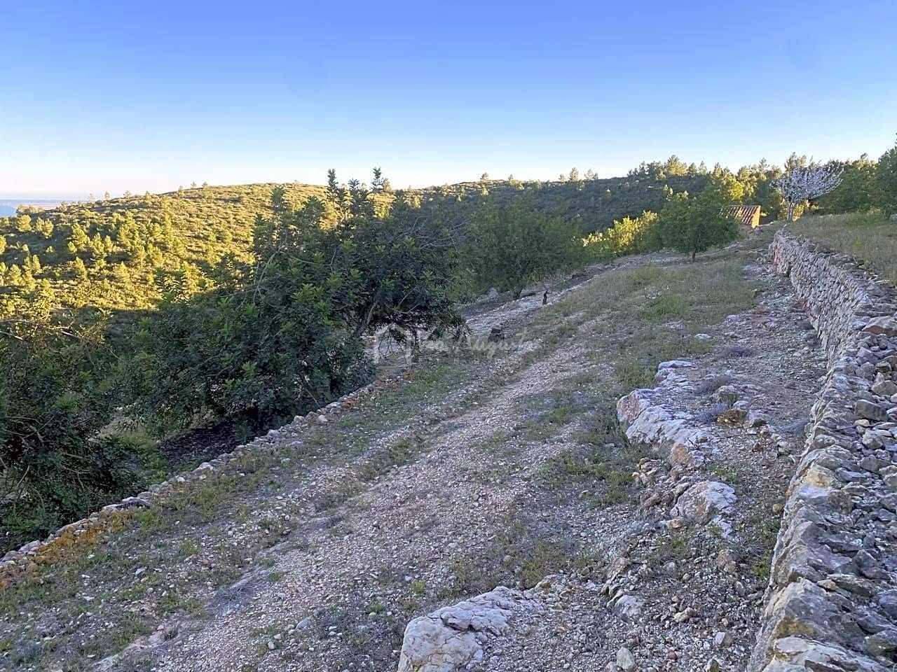 Grunde uden byggetilladelser til salg i El Perello - € 55.000 (Ref: 7486550)