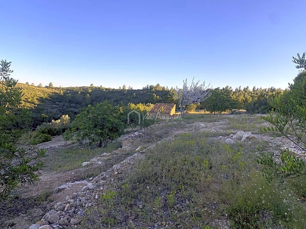 Grunde uden byggetilladelser til salg i El Perello - € 55.000 (Ref: 7486550)