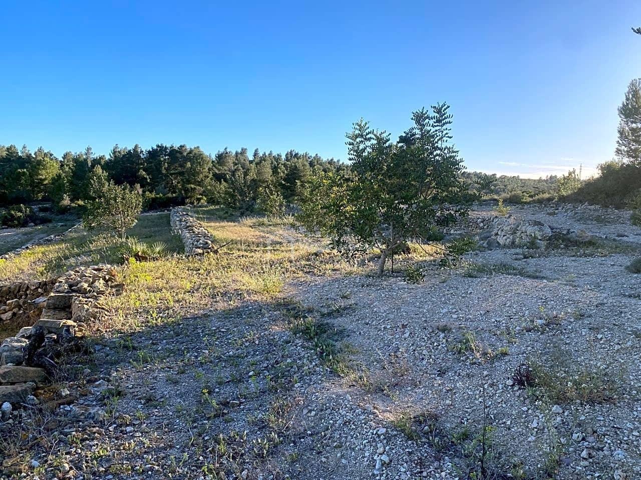 Grunde uden byggetilladelser til salg i El Perello - € 55.000 (Ref: 7486550)