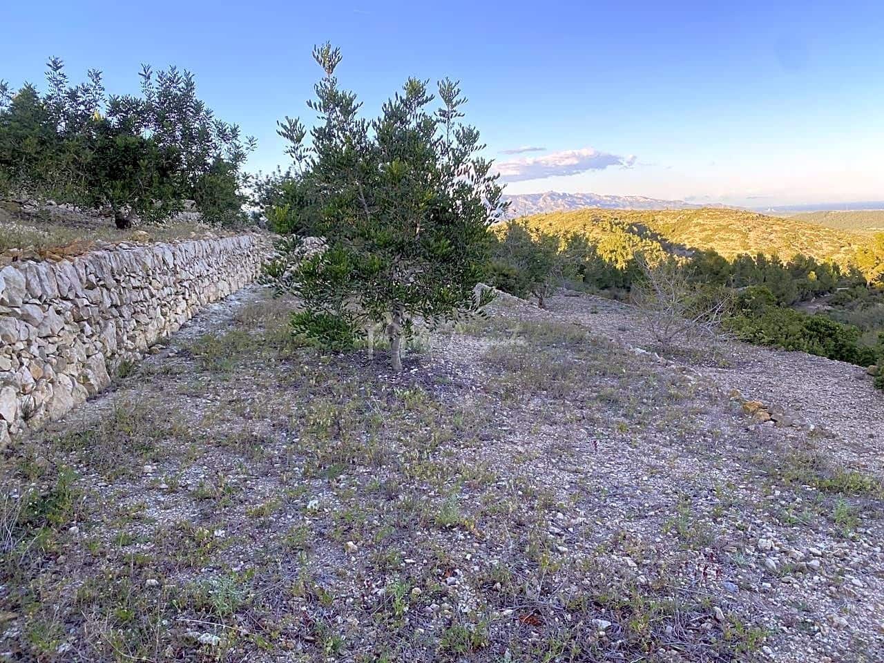 Grunde uden byggetilladelser til salg i El Perello - € 55.000 (Ref: 7486550)