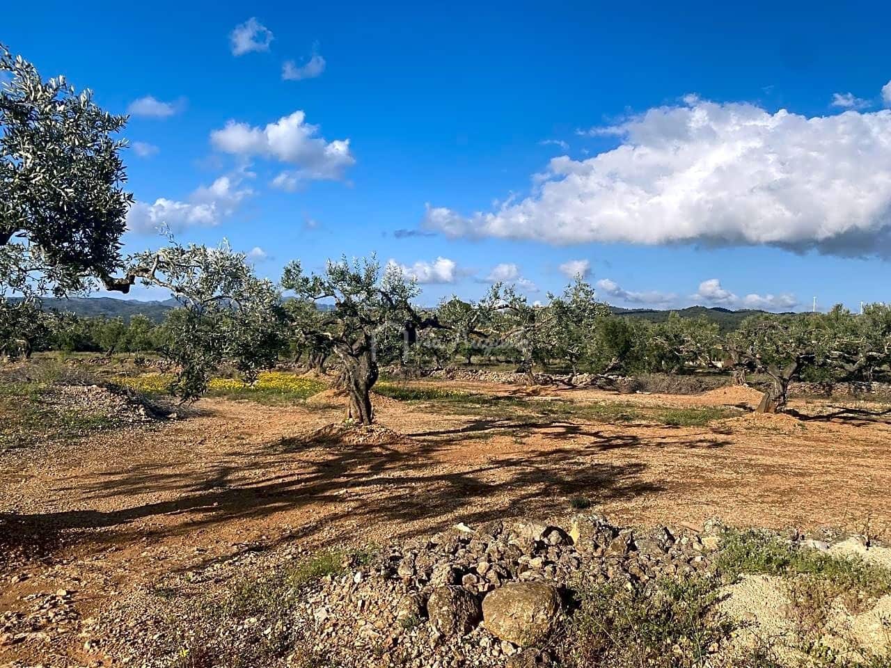 Undeveloped Land for sale in El Perello - € 65,000 (Ref: 7516027)