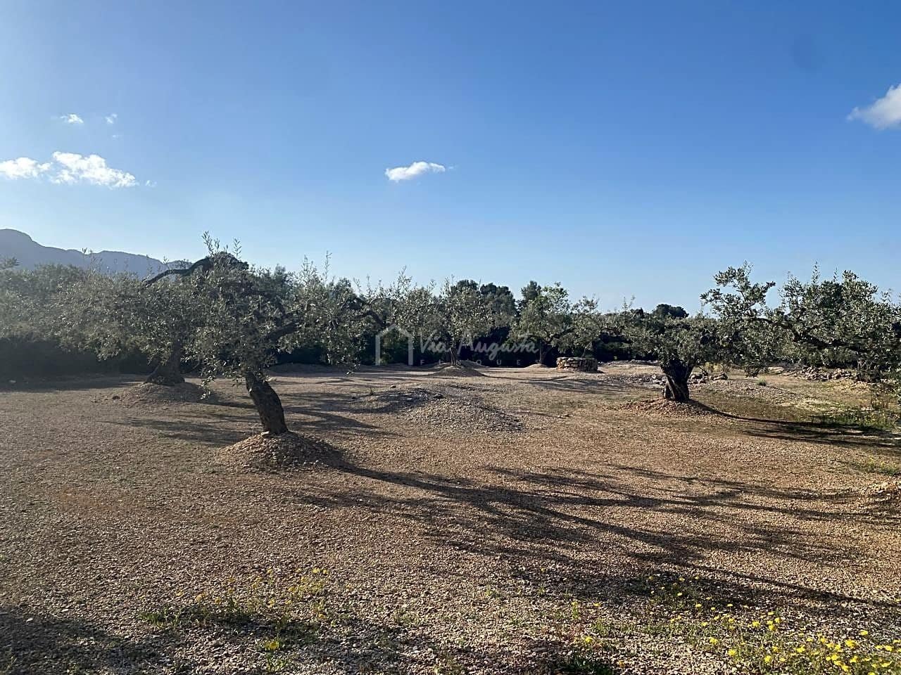 Undeveloped Land for sale in El Perello - € 65,000 (Ref: 7516027)