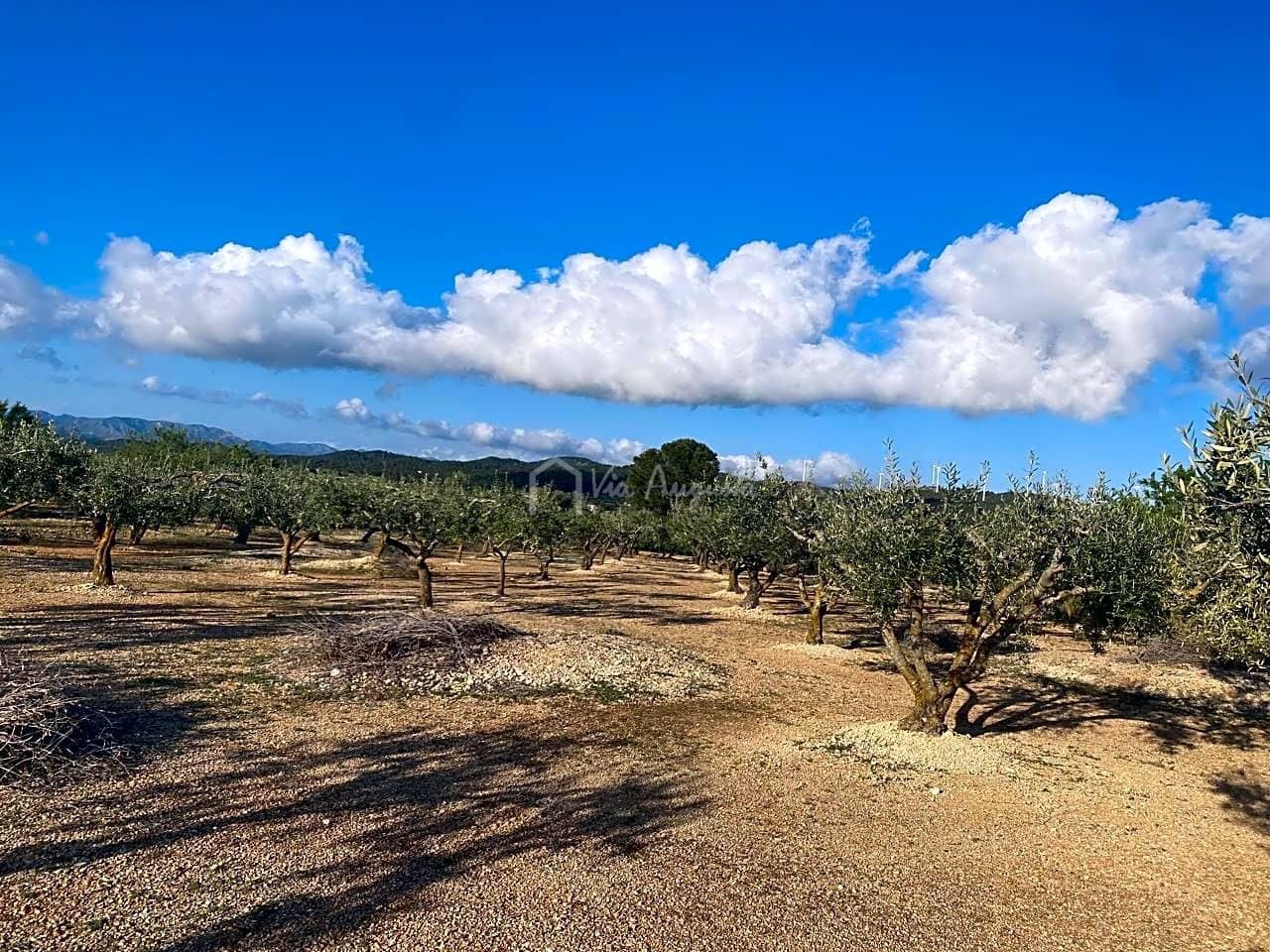 Undeveloped Land for sale in El Perello - € 65,000 (Ref: 7516027)