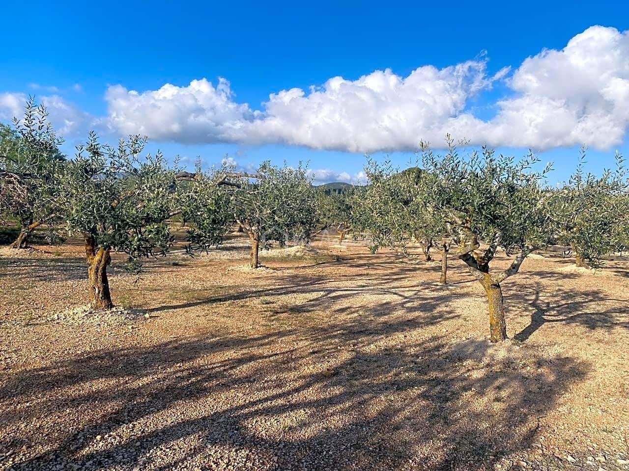 Undeveloped Land for sale in El Perello - € 65,000 (Ref: 7516027)