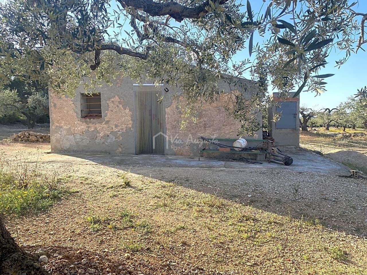 Undeveloped Land for sale in El Perello - € 65,000 (Ref: 7516027)