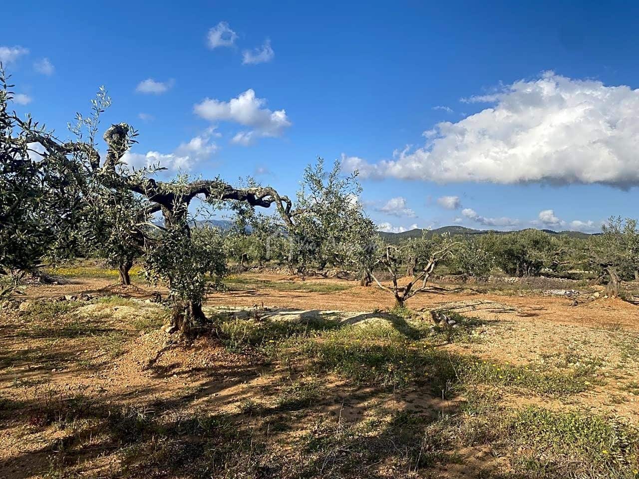 Undeveloped Land for sale in El Perello - € 65,000 (Ref: 7516027)
