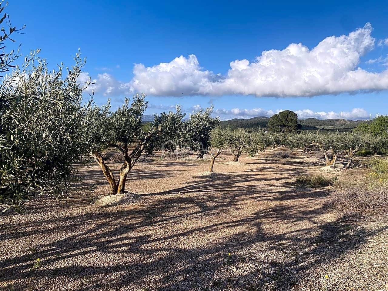 Undeveloped Land for sale in El Perello - € 65,000 (Ref: 7516027)