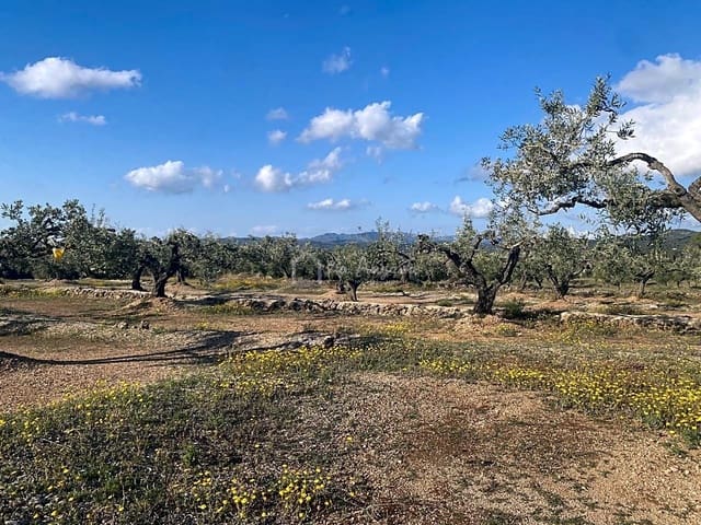 Undeveloped Land for sale in El Perelló - € 65,000 (Ref: 7516027)