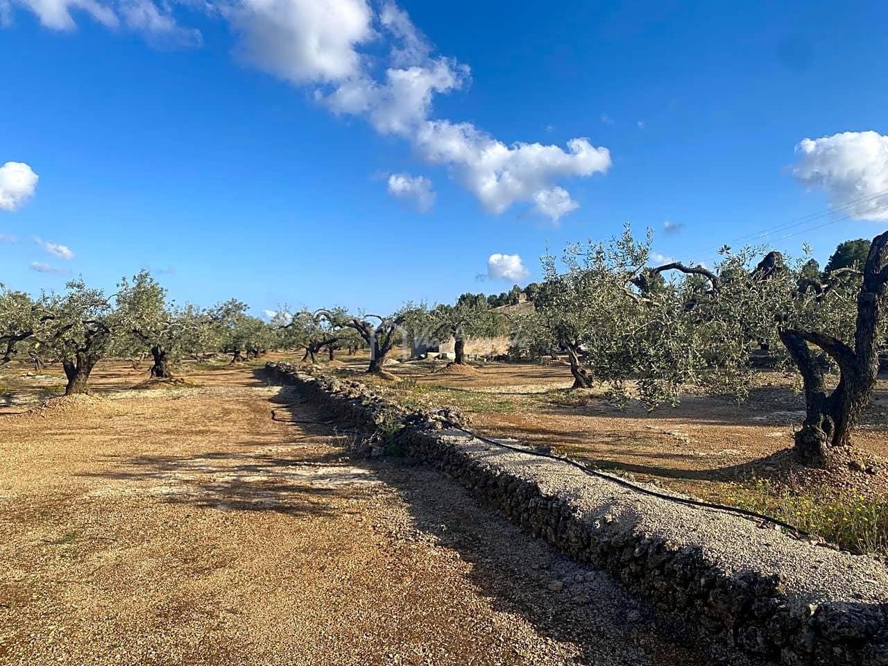 Undeveloped Land for sale in El Perello - € 65,000 (Ref: 7516027)