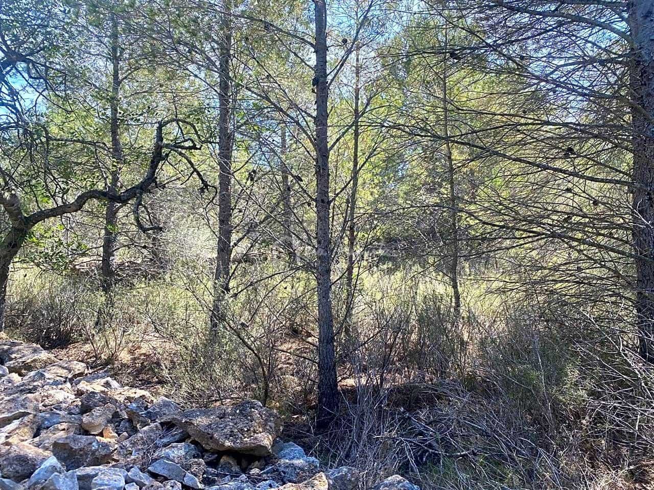 Ubebygd land til salgs i L'Ametlla de Mar - € 54 000 (Ref: 7520588)