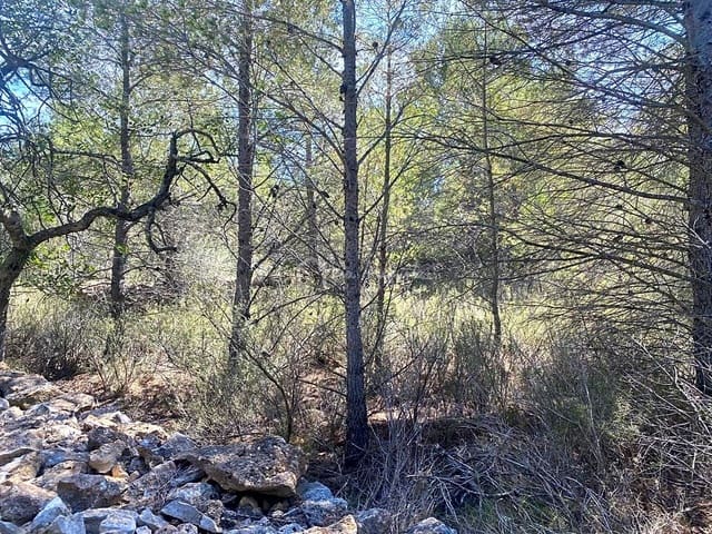 Rakentamaton maa myytävänä paikassa L'Ametlla de Mar - 54 000 € (Ref: 7520588)