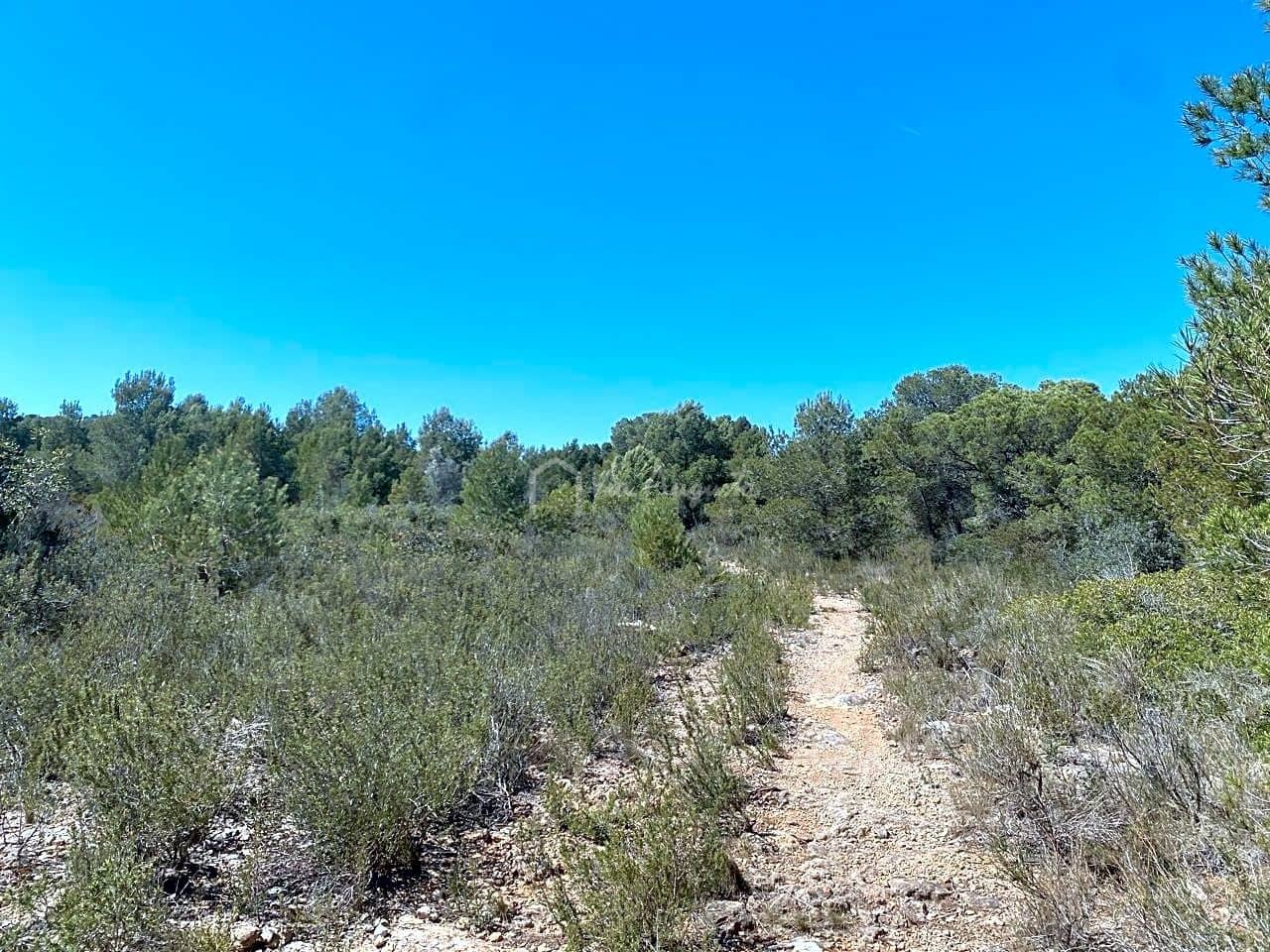 Ubebygd land til salgs i L'Ametlla de Mar - € 54 000 (Ref: 7520588)