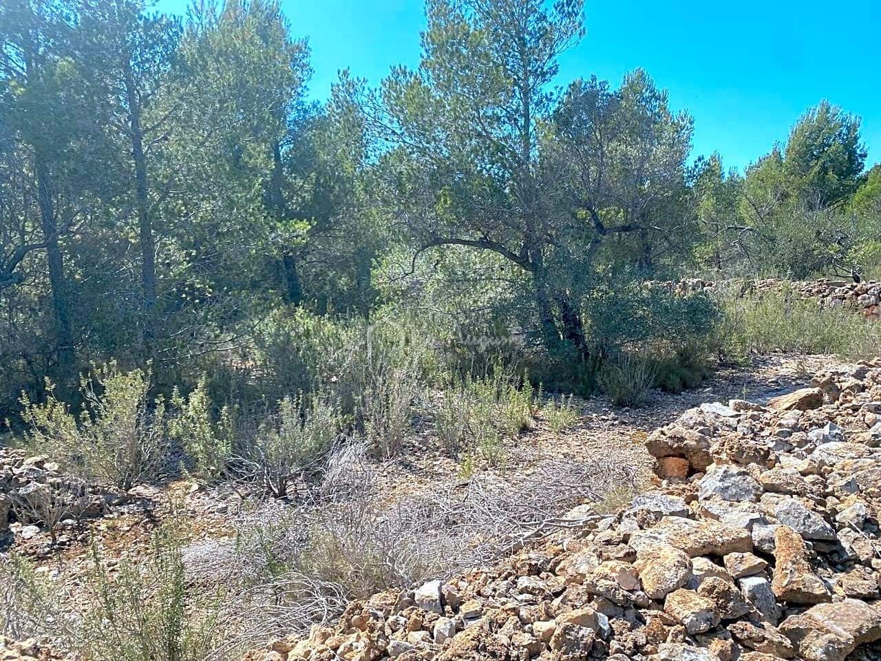 Ubebygd land til salgs i L'Ametlla de Mar - € 54 000 (Ref: 7520588)