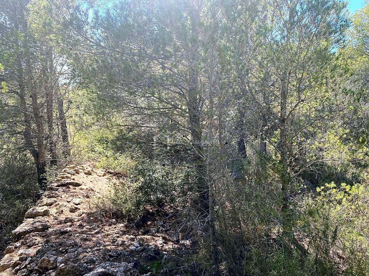 Ubebygd land til salgs i L'Ametlla de Mar - € 54 000 (Ref: 7520588)