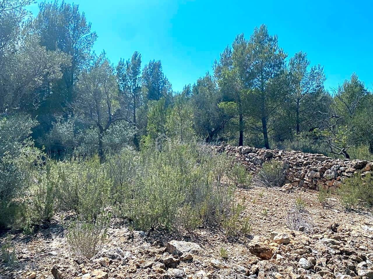 Ubebygd land til salgs i L'Ametlla de Mar - € 54 000 (Ref: 7520588)