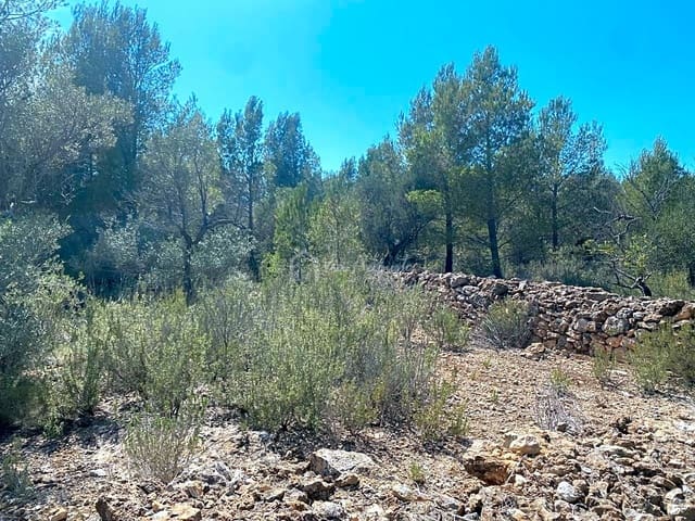 Rakentamaton maa myytävänä paikassa L'Ametlla de Mar - 54 000 € (Ref: 7520588)