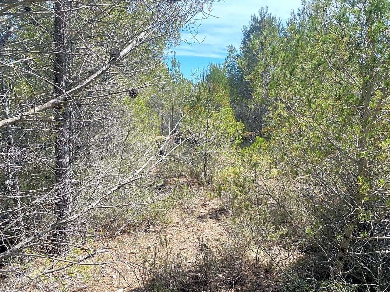 Ubebygd land til salgs i L'Ametlla de Mar - € 54 000 (Ref: 7520588)