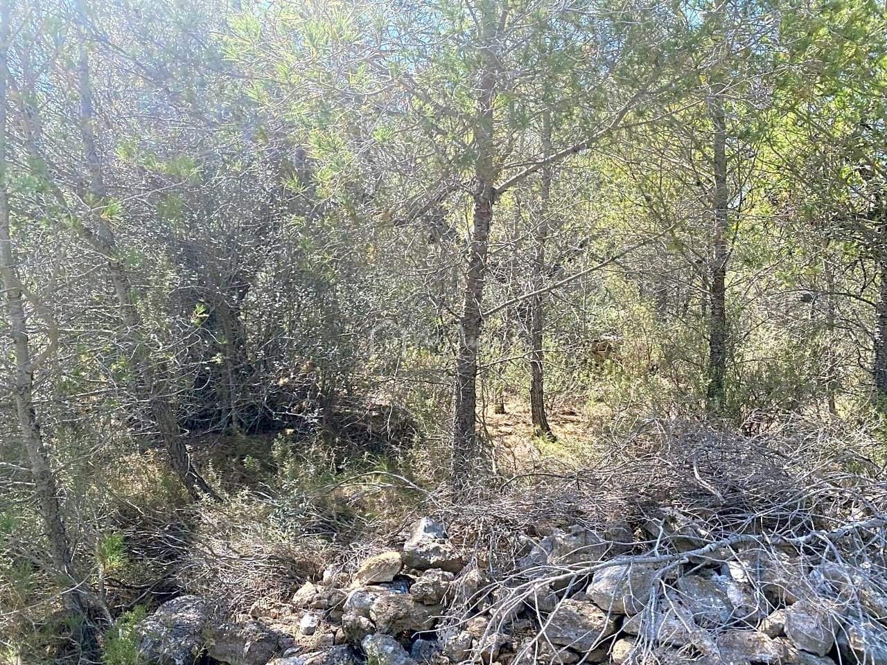 Ubebygd land til salgs i L'Ametlla de Mar - € 54 000 (Ref: 7520588)