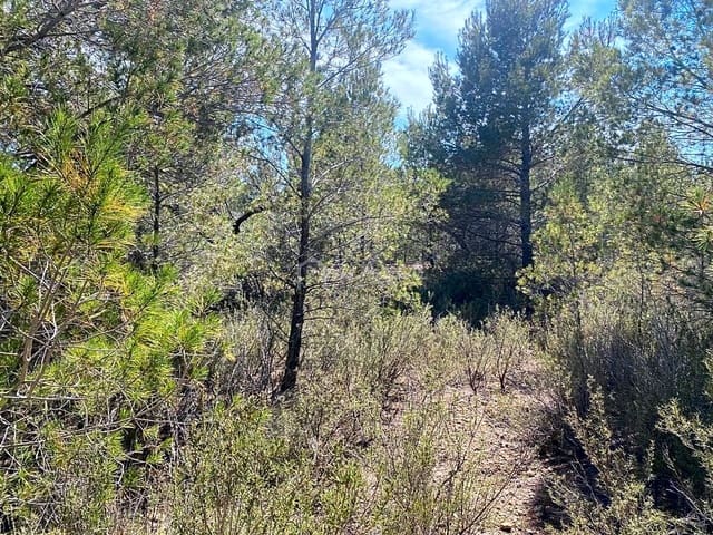 Rakentamaton maa myytävänä paikassa L'Ametlla de Mar - 54 000 € (Ref: 7520588)