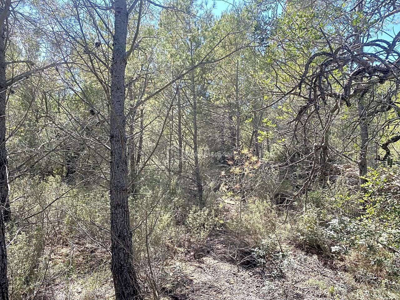 Ubebygd land til salgs i L'Ametlla de Mar - € 54 000 (Ref: 7520588)