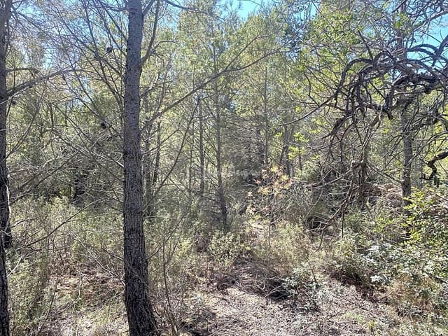 Rakentamaton maa myytävänä paikassa L'Ametlla de Mar - 54 000 € (Ref: 7520588)