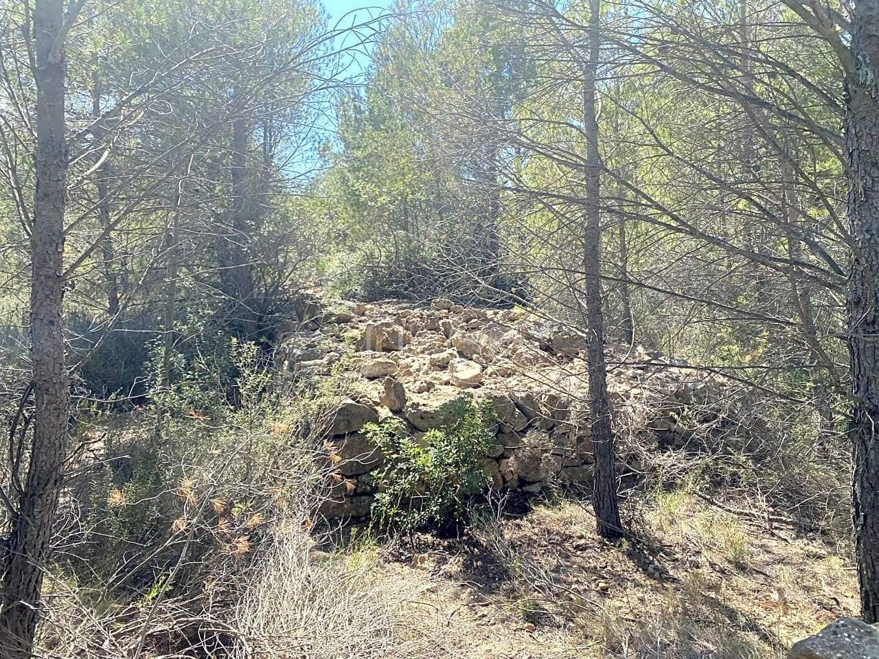 Ubebygd land til salgs i L'Ametlla de Mar - € 54 000 (Ref: 7520588)