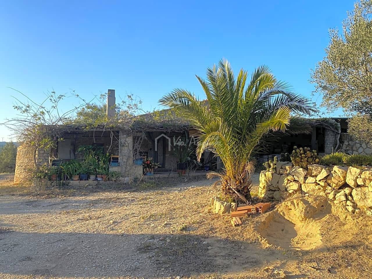 Mark till salu i El Perello - 250 000 € (Ref: 7546422)