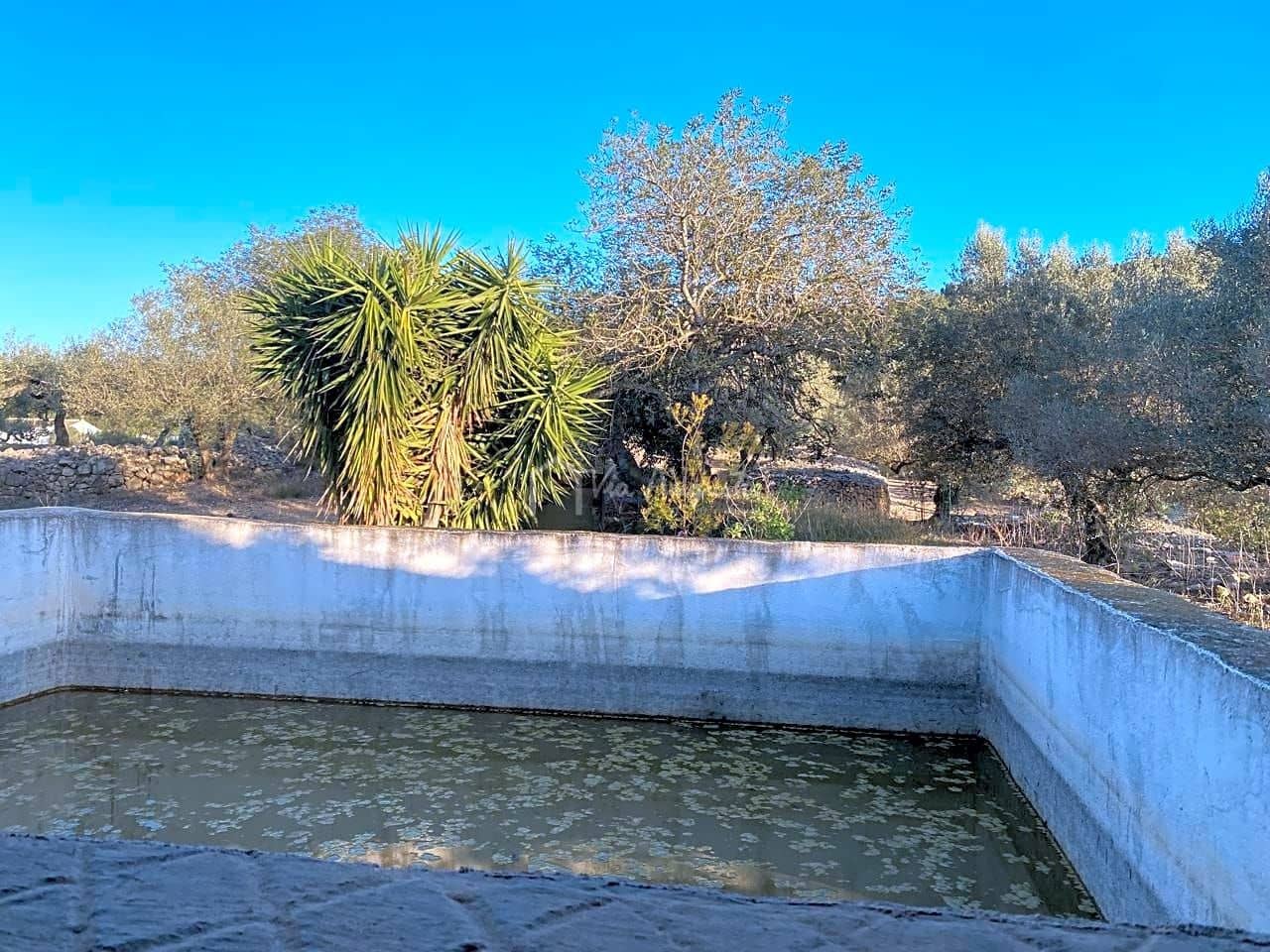 Mark till salu i El Perello - 250 000 € (Ref: 7546422)