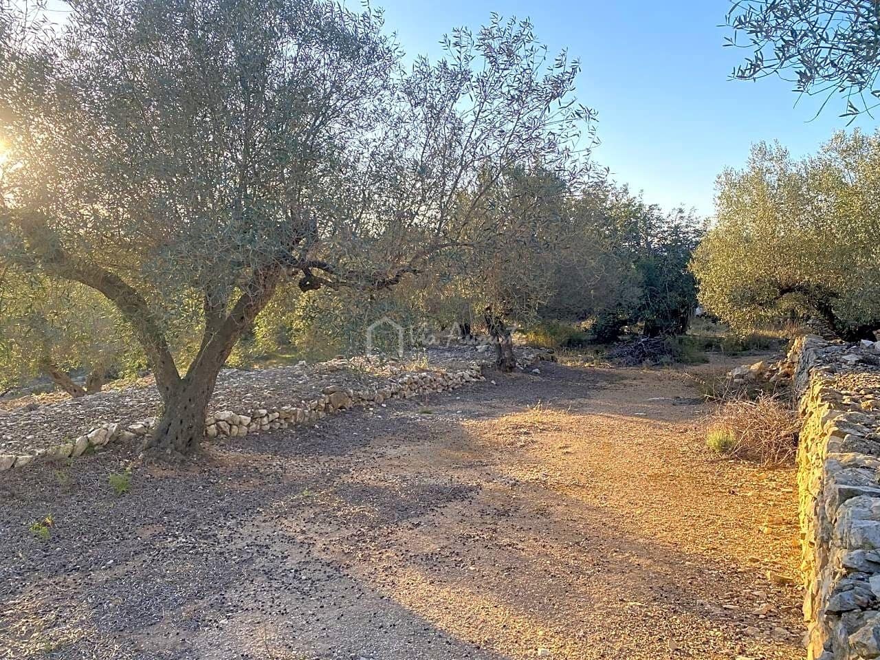 Mark till salu i El Perello - 250 000 € (Ref: 7546422)