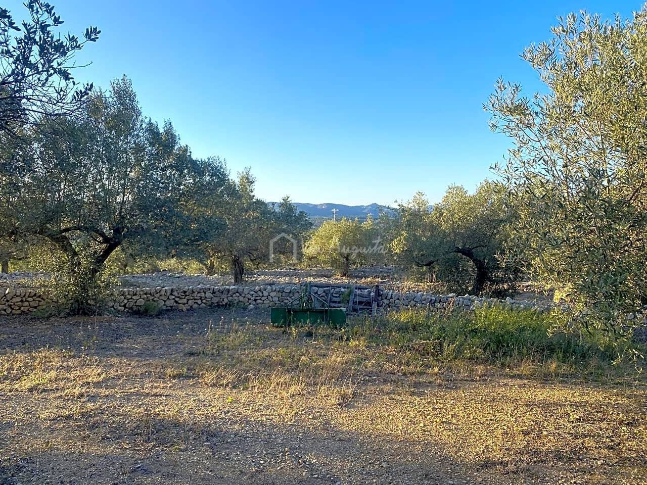 Mark till salu i El Perello - 250 000 € (Ref: 7546422)