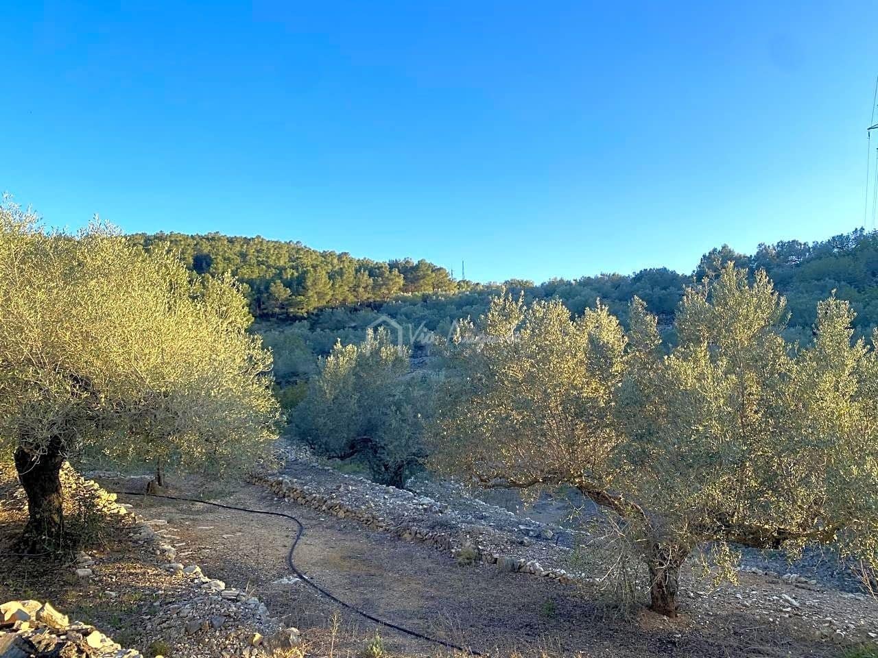 Mark till salu i El Perello - 250 000 € (Ref: 7546422)