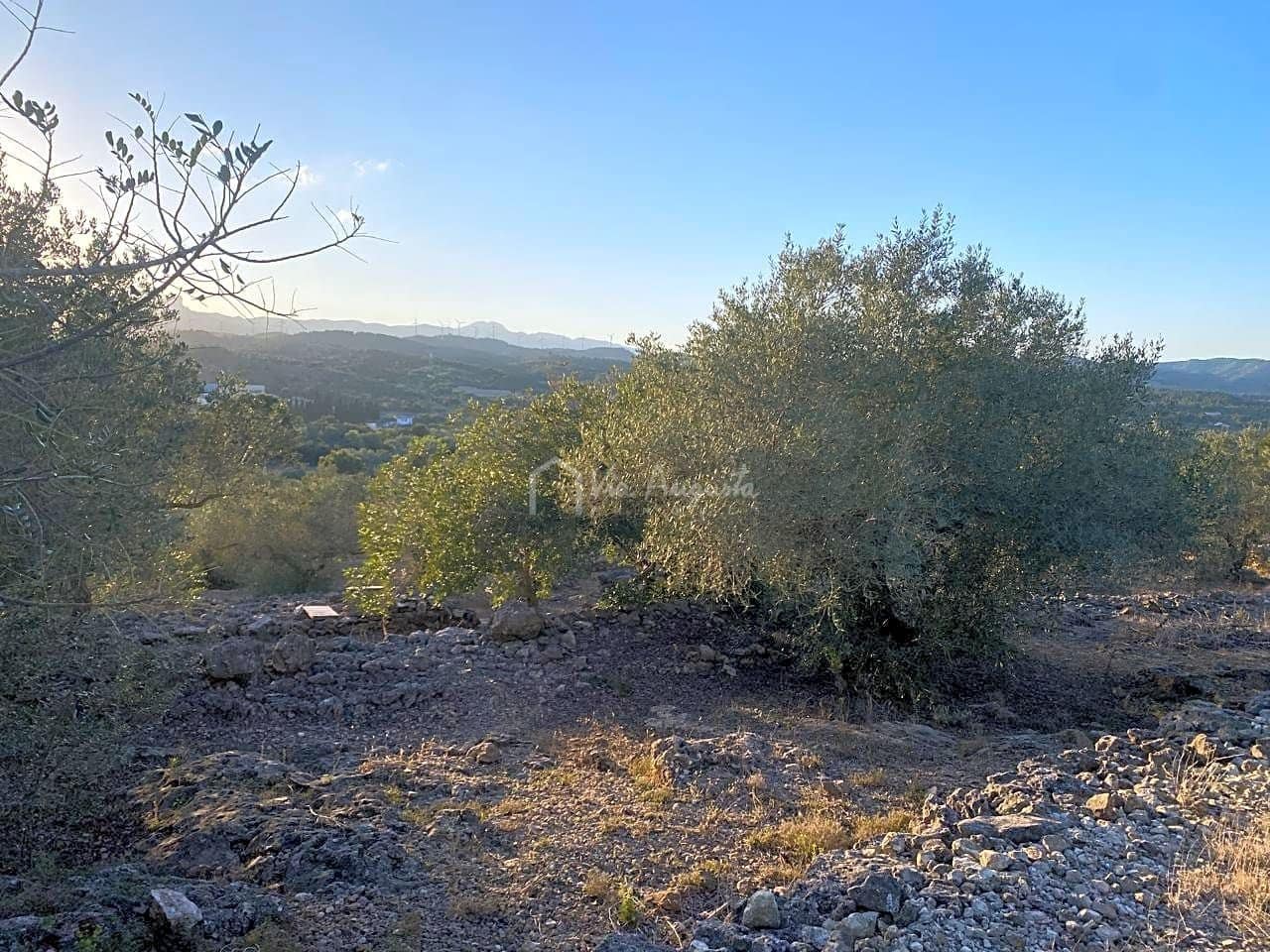 Mark till salu i El Perello - 250 000 € (Ref: 7546422)