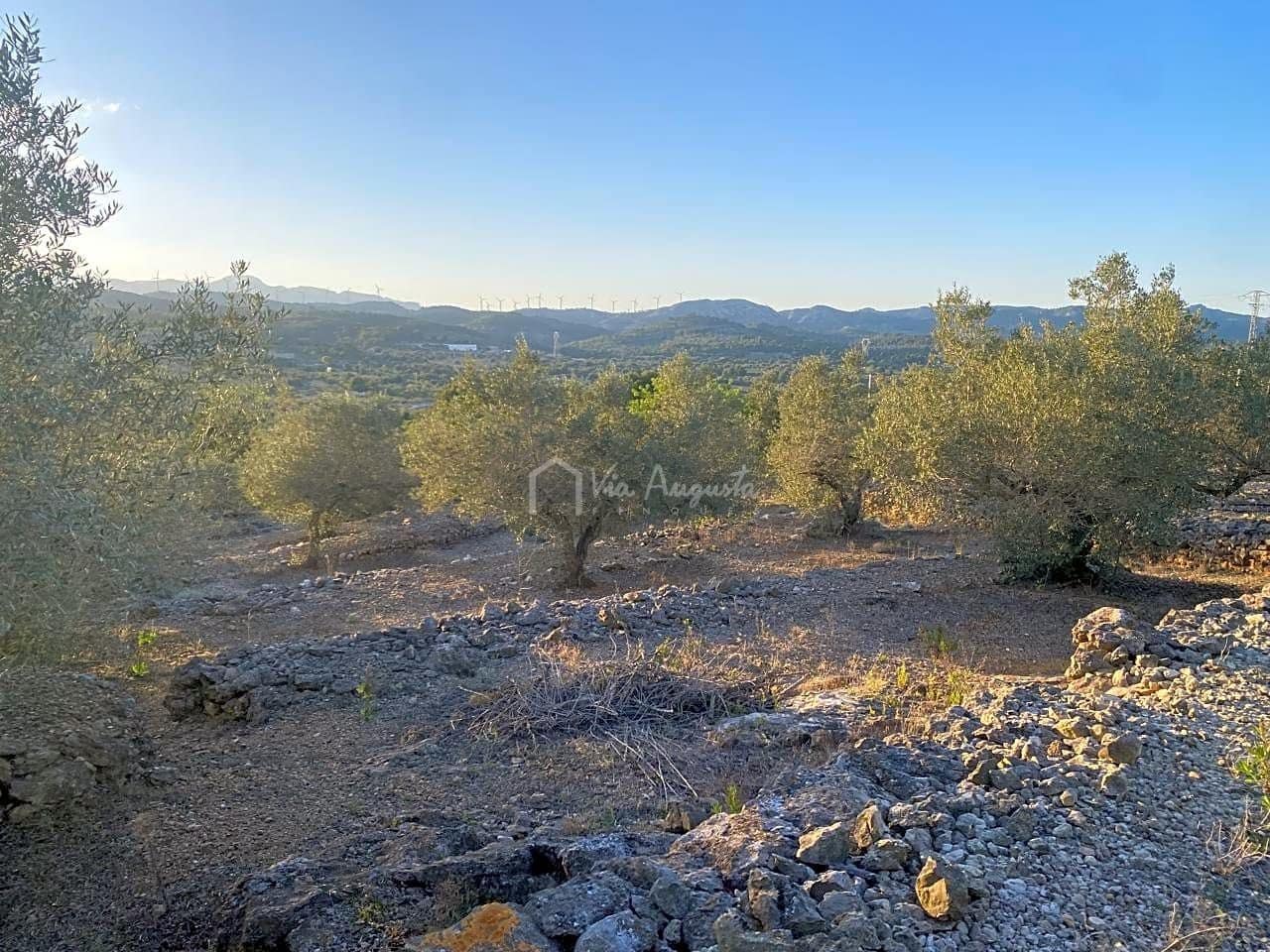 Mark till salu i El Perello - 250 000 € (Ref: 7546422)