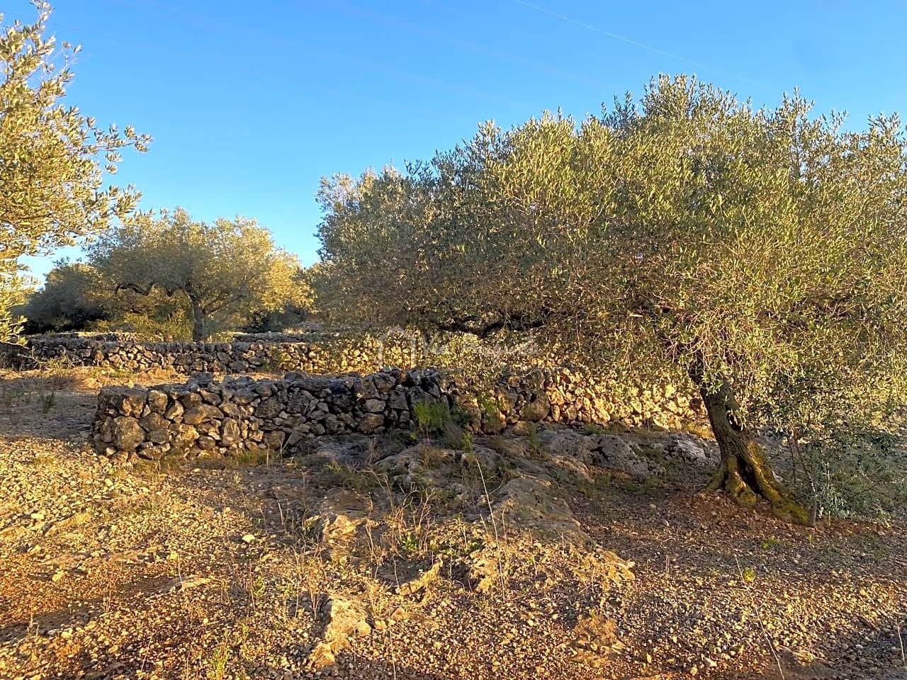 Mark till salu i El Perello - 250 000 € (Ref: 7546422)