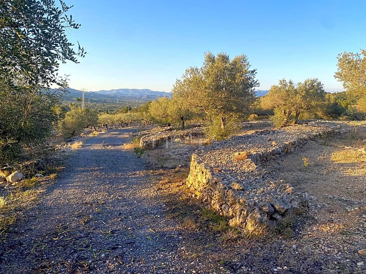 Mark till salu i El Perello - 250 000 € (Ref: 7546422)