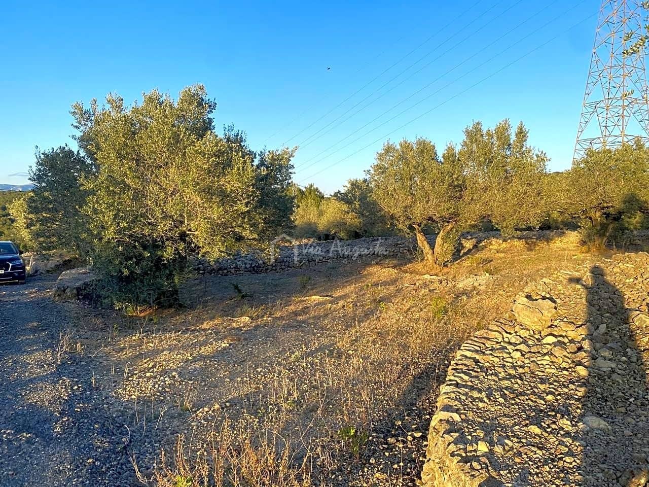 Mark till salu i El Perello - 250 000 € (Ref: 7546422)