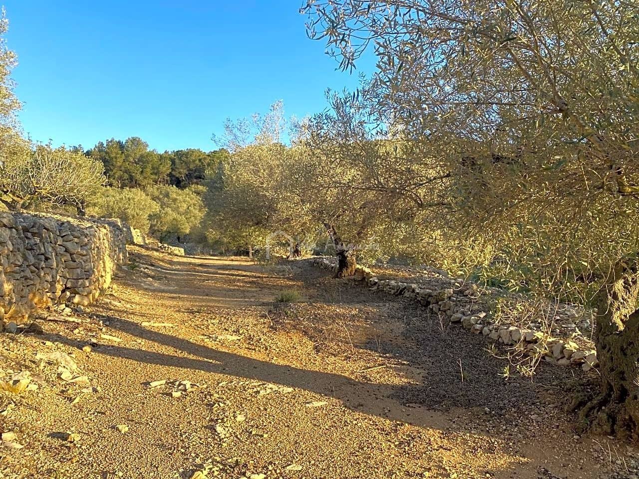 Mark till salu i El Perello - 250 000 € (Ref: 7546422)