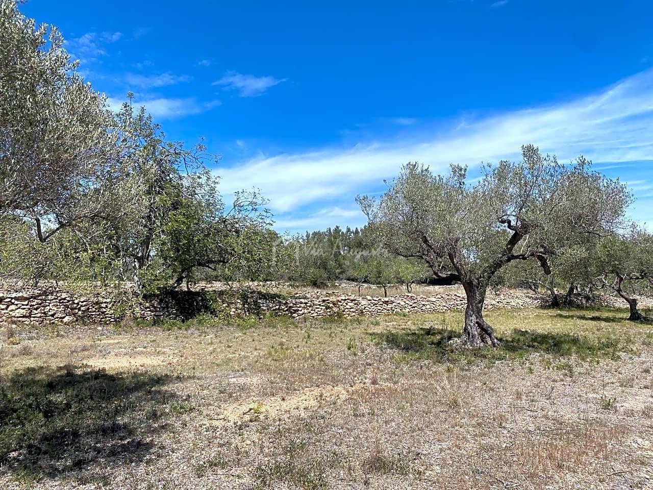 Ubebygd land til salgs i El Perello - € 55 000 (Ref: 7546423)