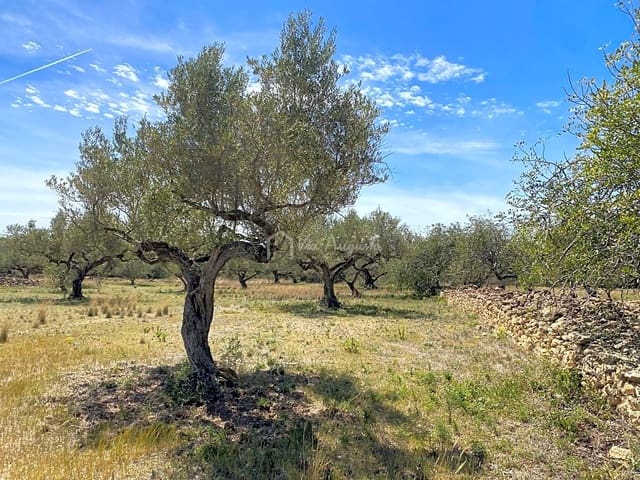 Ubebygd land til salgs i El Perelló - € 55 000 (Ref: 7546423)