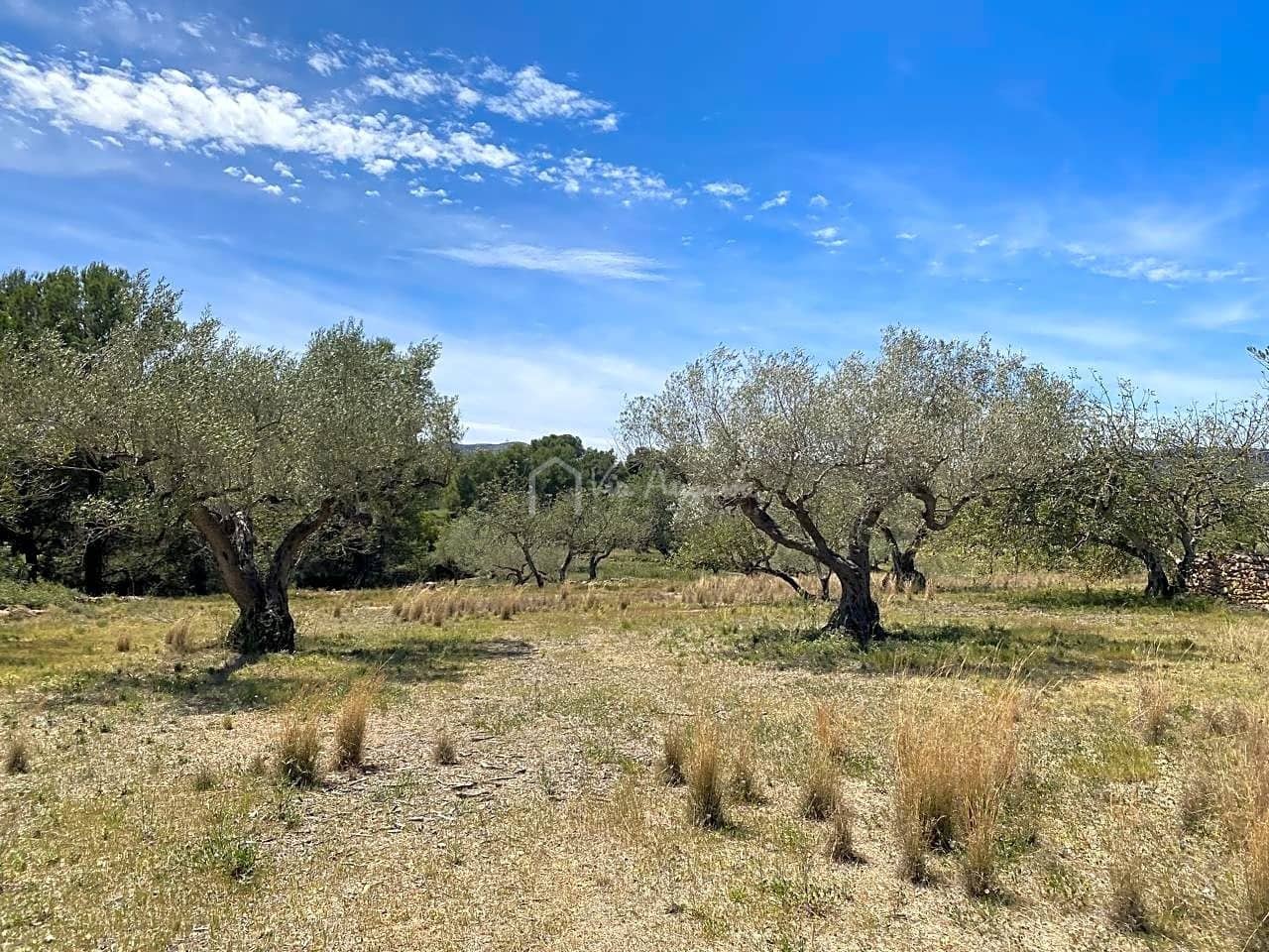 Ubebygd land til salgs i El Perello - € 55 000 (Ref: 7546423)