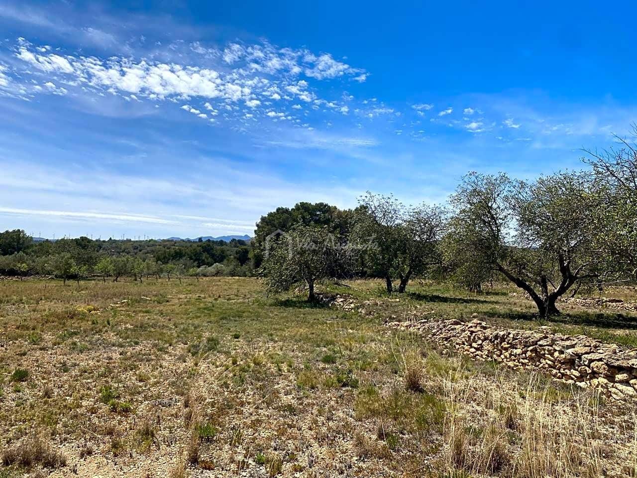 Ubebygd land til salgs i El Perello - € 55 000 (Ref: 7546423)
