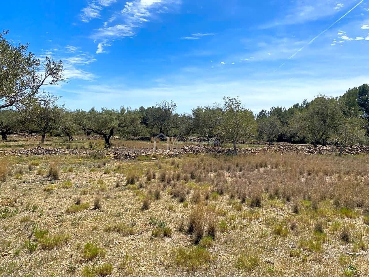 Ubebygd land til salgs i El Perello - € 55 000 (Ref: 7546423)