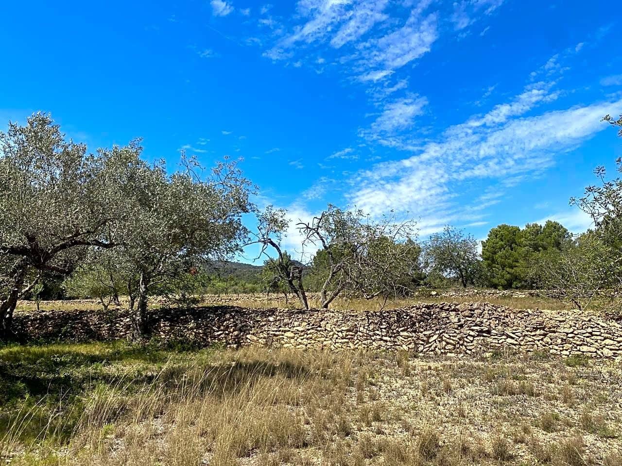 Ubebygd land til salgs i El Perello - € 55 000 (Ref: 7546423)