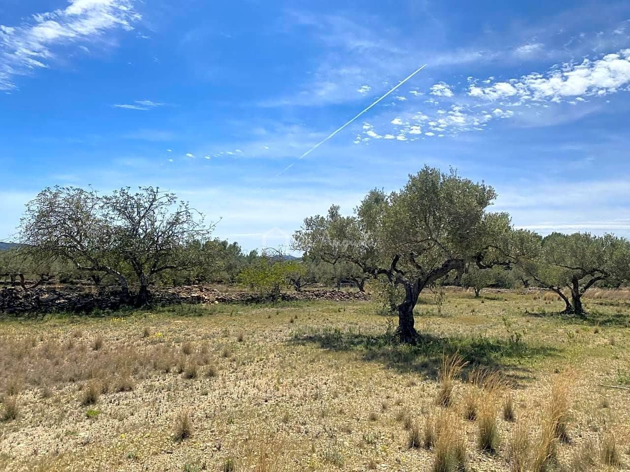 Ubebygd land til salgs i El Perello - € 55 000 (Ref: 7546423)