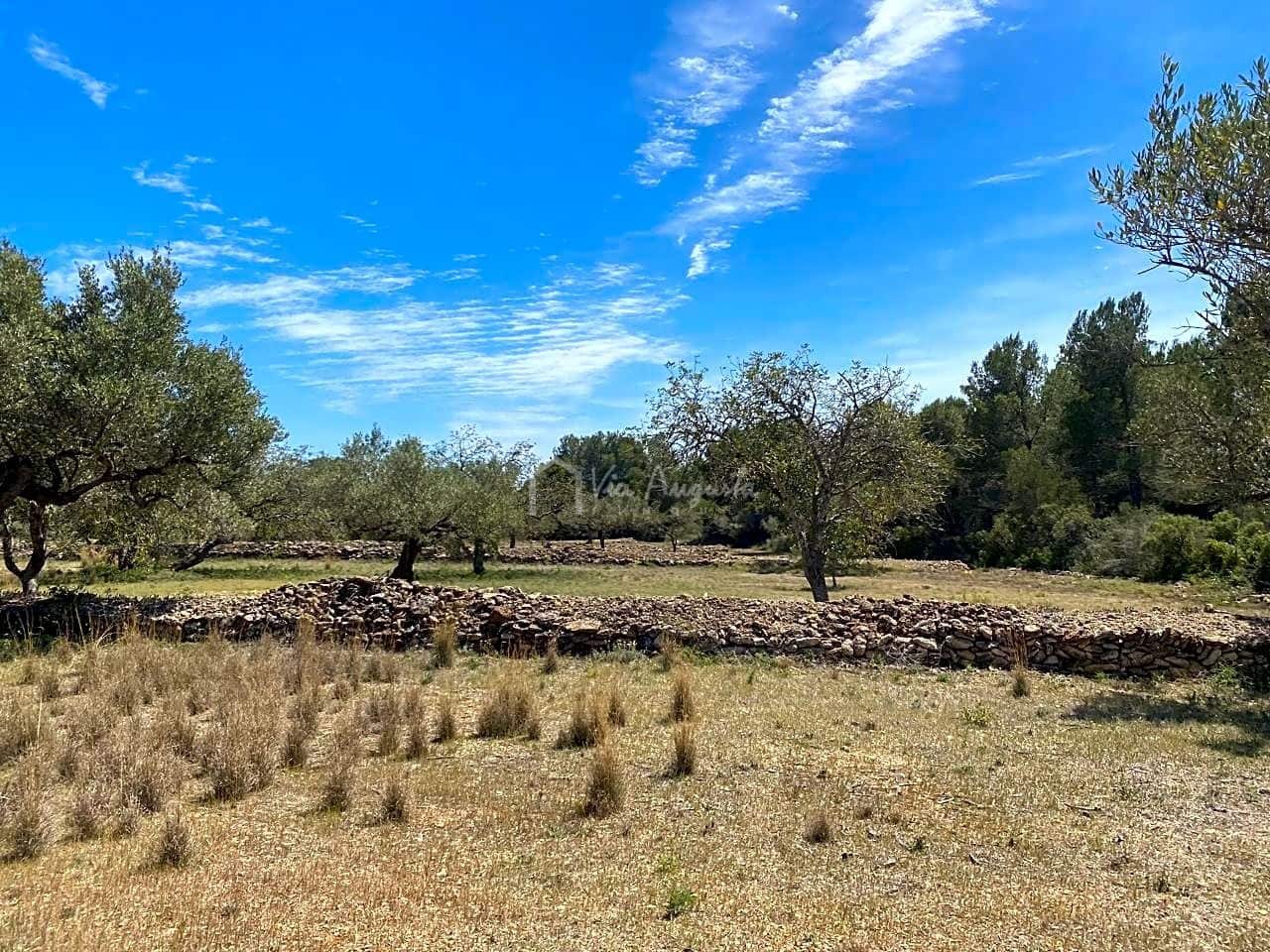 Ubebygd land til salgs i El Perello - € 55 000 (Ref: 7546423)